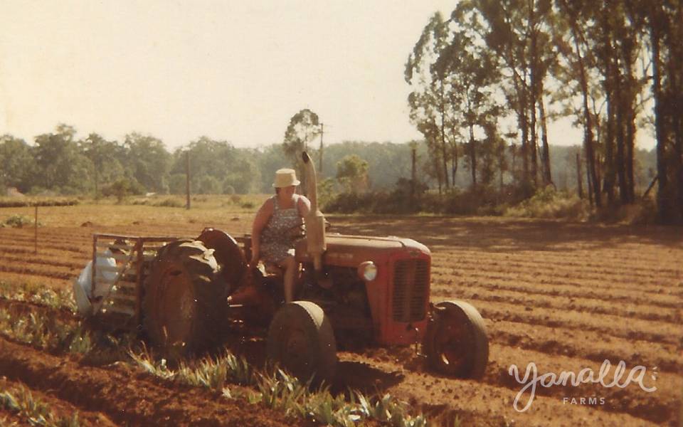 Yanalla Farms - 1980
