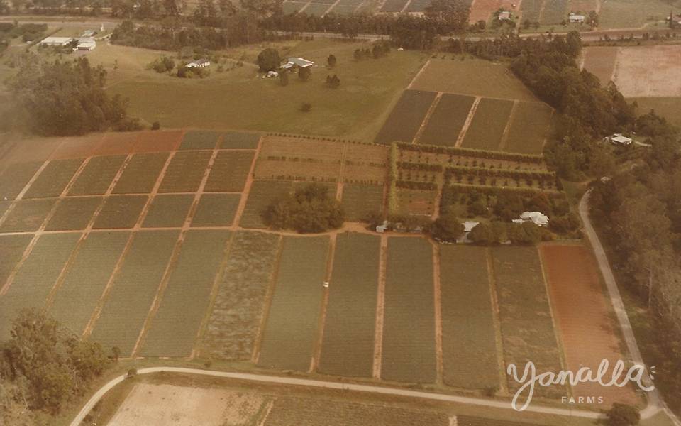 Yanalla Farms - 1979