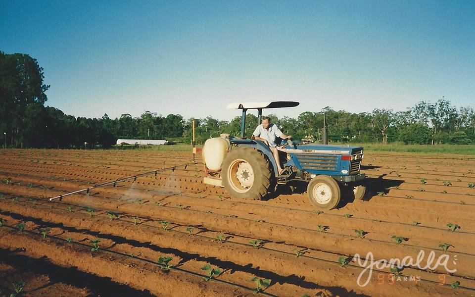 Yanalla Farms - 1994
