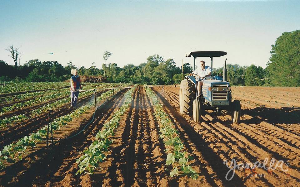 Yanalla Farms Planting - 1994