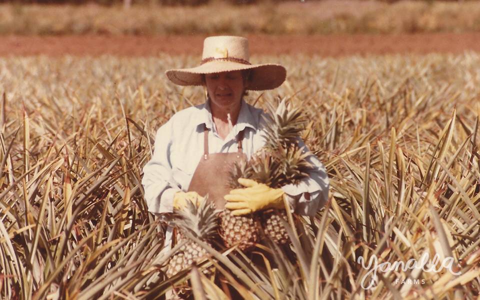 Yanalla Farms Pinapple Picking - 1998